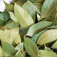 Bay Leaves