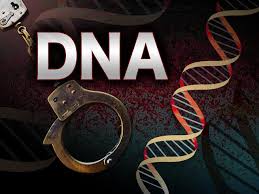 DNA Profiling