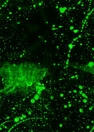 images?q=tbn:ANd9GcTQSQl84HBOB3pTU1C0ojbGlkCL2wiZUXSMaoYWUd8SsYA0oWjE