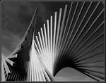 Modern Art Art Canvas Painting