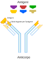 <b>Anticorpo</b>