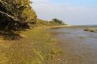 SZ3795 : The Solent shore - via Daymix