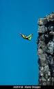 Doug Blane Professional Photographer » BASE Jumping