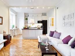 Decorating An Apartment Minimalist Apartment Decorating Home And ...