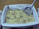 Funny cats #225. Kitty Litter Cake Recipe.