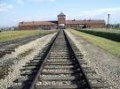 Birkeneu Trainline | Photo