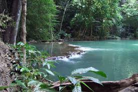 ธารโบกขรณี