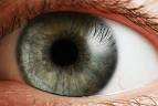 Historias Interesantes: Curiosidades del <b>ojo</b> humano