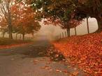 Pixdaus, page 1 of tagged as autumn photos