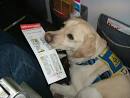 Galley Gossip: Emotional support animals, sock monkeys &amp; pets on ...