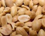 Salty Peanut — Fotopedia - via Daymix