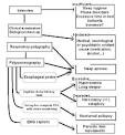 Sommeil et médecine générale - Excessive daytime sleepiness