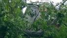 Help still needed after record-breaking year for disasters - CNN.