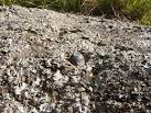 which is located on a rock on the northern side of NS3678 : Cardross - via Daymix
