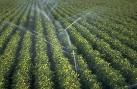 Ecological Services - Prevention Investigation &amp; Monitoring ...