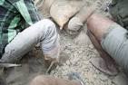 Powerful Magnitude-7.8 Earthquake Rocks Nepal, Death Toll.
