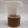 for <b>rhabdomyolysis</b>