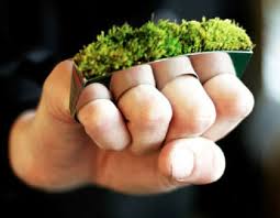 [Obrazek: images?q=tbn:ANd9GcTTW1qDLyrRSngyGgb_x4v...BaiR_YjYmA]