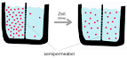 File:Diffusion.jpg - Wikipedia, the free encyclopedia