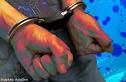 Serial vehicle thieves arrested