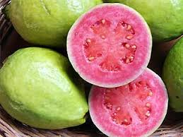  Kandungan Gizi Dan Manfaat Jambu Biji