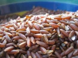 No Brasil, o arroz vermelho foi introduzido pelos portugueses logo no início da colonização, mas na segunda metade do século 18, seu plantio foi proibido pela Coroa Portuguesa, que introduziu o arroz branco no seu lugar.