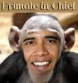 President Monkey?