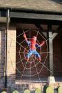 SU5385 : Spiderman spiderman - via Daymix