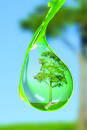 Brown Soil &amp; Water Conservation District
