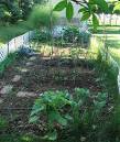 Gardening Tips And Information