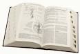 Le Manuel Merck 2008 : Une bible de 3000 pages en français