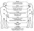 <b>Opportunistic Infections</b>