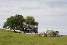 Scenic of a hilltop in lost - via Daymix