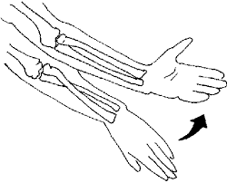 Supination