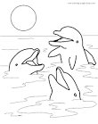 Dolphin coloring page
