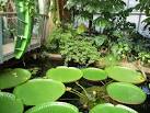 Zoo, Crocodile Swamp - via Daymix
