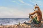 Dog's Days of Summer
