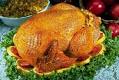 Animal Facts: Turkeys