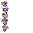 Grapes Clipart Image - A boarder of purple grape clusters