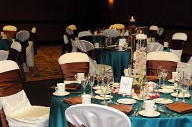 Peacock theme wedding - PLEASE HELP!!!! :  wedding chocolate turquoise teal peacock brunch Images?q=tbn:ANd9GcTVu1DmFR6diLI07X99E0M2Lag5VHsye9ihaghzMJREAbcyQMfB