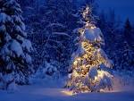 Winter wallpapers - Winter Wallpaper (2768524) - Fanpop fanclubs