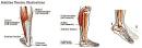 Img40.gif