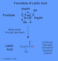 The <b>lactic acid</b> creates extra