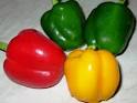 Gherkins,Cornichons,Tomatoes,Silver skin onion,Jalapeno,Capsicum ...