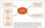 DHA Supports Brain Development and Protects Neurological Function ...
