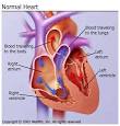 Cardiologist Equipments Services |Cardiology Imaging Products ...