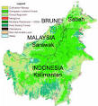 Borneo