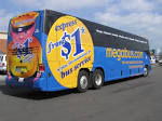 Megabus | Search Results | InsectAnatomy