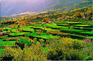 Hunza - The Truth, Myths, and Lies About the Health and Diet of ...