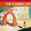 The Flaming Lips Picture 4